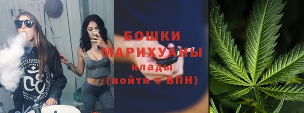 сатива Верхний Тагил