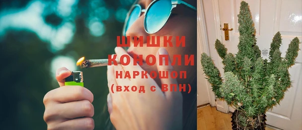сатива Верхний Тагил