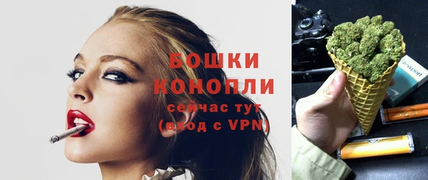сатива Верхний Тагил