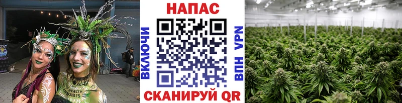Конопля Amnesia  наркотики  Оха 